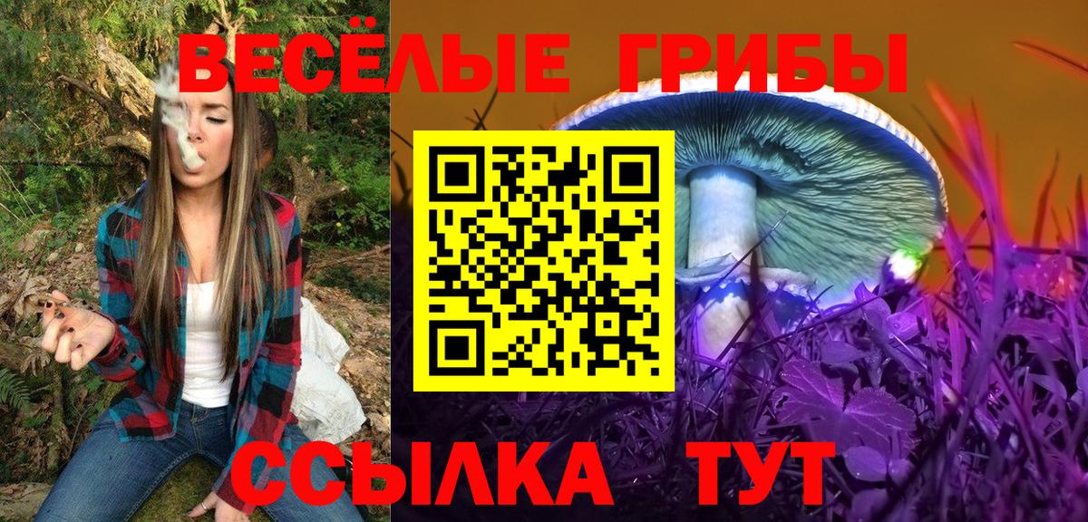 Галлюциногенные грибы Magic Shrooms  Галлюциногенные грибы прущие грибы  Вход с VPN  Сергиев Посад 