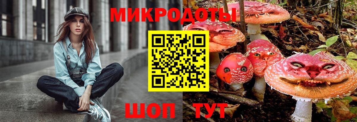 Галлюциногенные грибы мухоморы Сергиев Посад