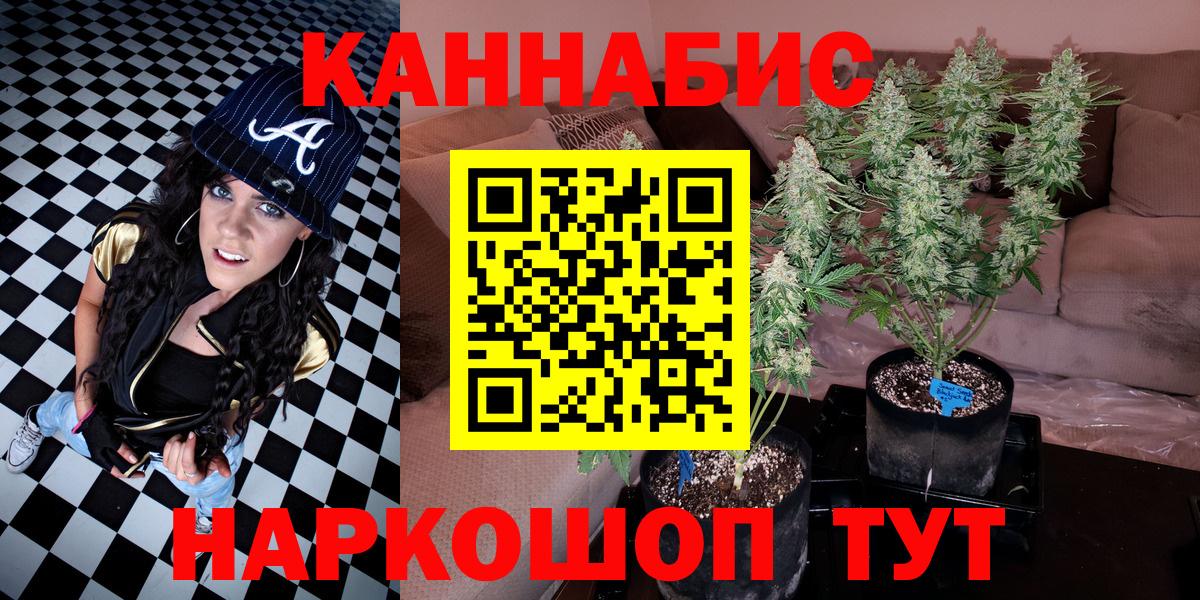 Бошки Шишки конопля  Вход с VPN  Сергиев Посад  Шишки марихуана конопля  Бошки Шишки OG Kush 